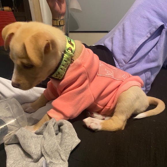 Doggie luxury sweater - Picture 2 of 5
